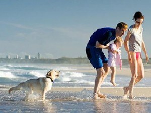 Siti per organizzare le vacanze con il cane