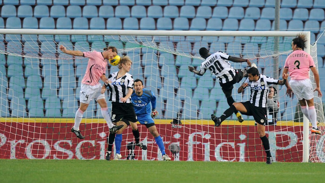 miccoli ilicic di natale