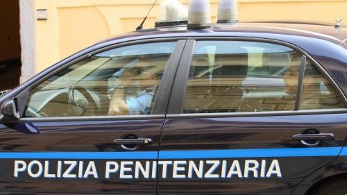 domande scommesse tolleranza zero