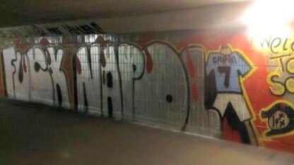 il murales di cavani