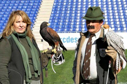 il falconiere dell'espanyol