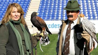 il falconiere dell'espanyol