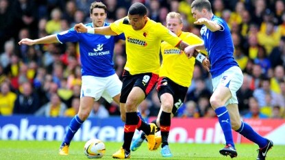la punta del watford