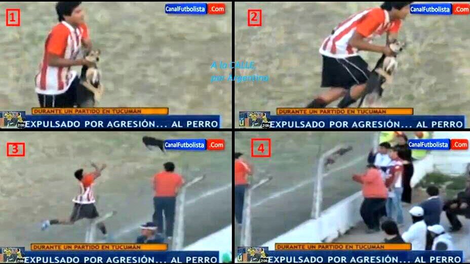 jimenez prende il cane per il collo