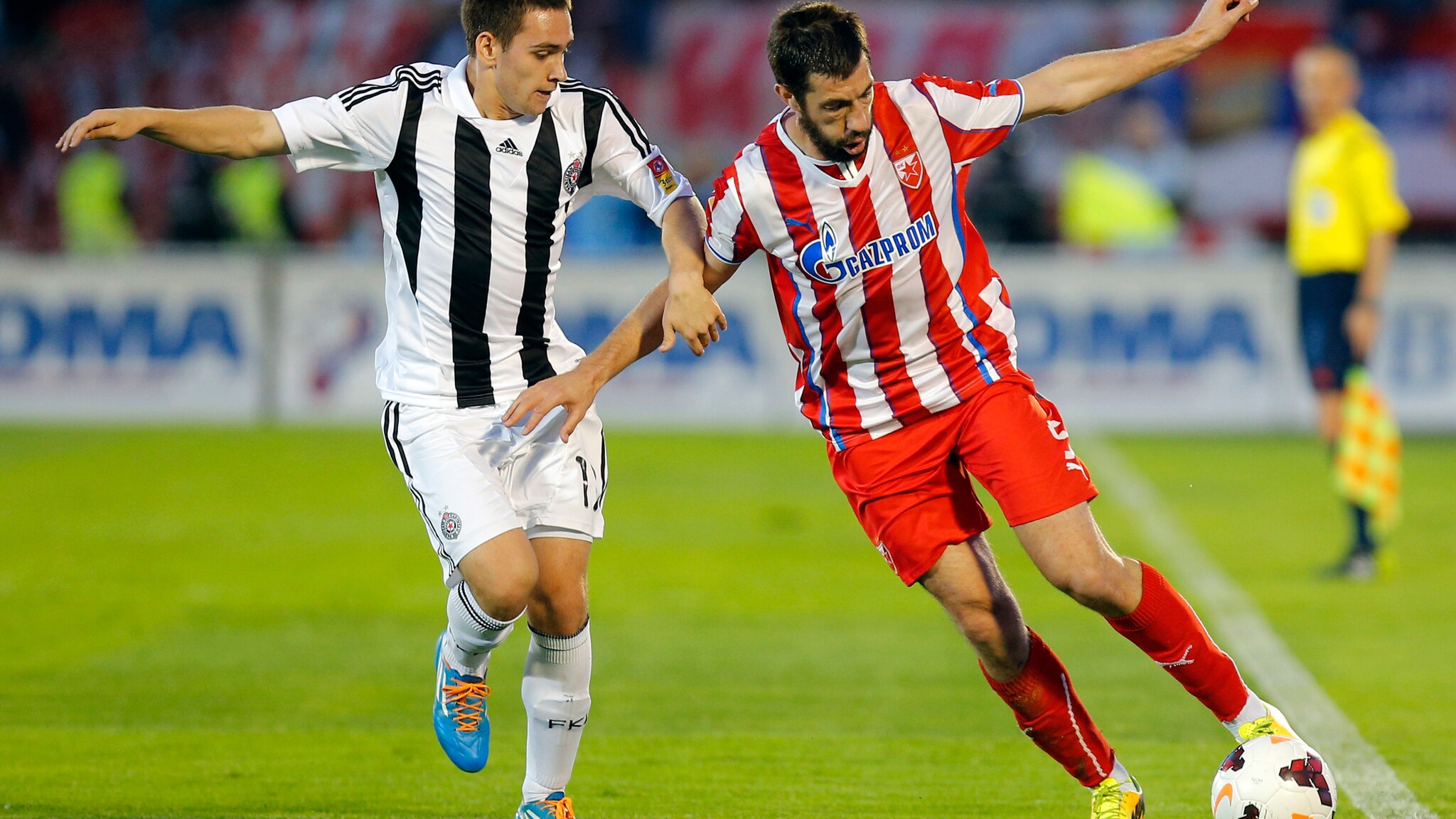 stella rossa champions league