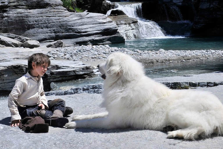 Immagine