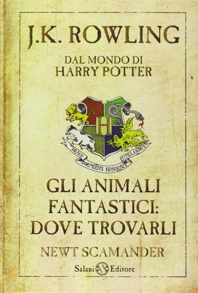 Immagine
