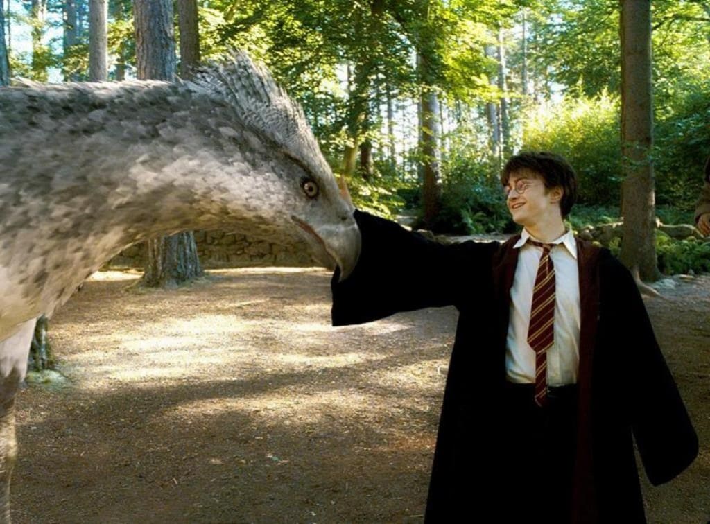 Gli animali fantastici dove trovarli, il libro di Harry Potter diventa una trilogia