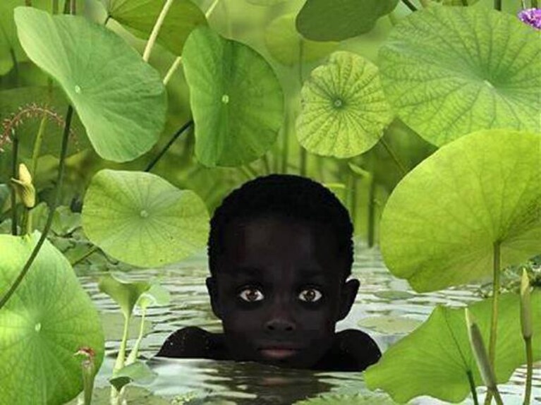 Immagine