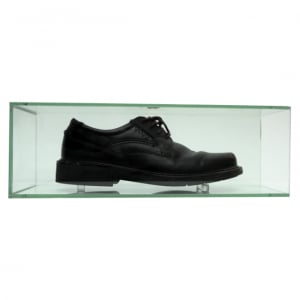 Shoe Thrown at George W Bush. Permanent Collection, Museum