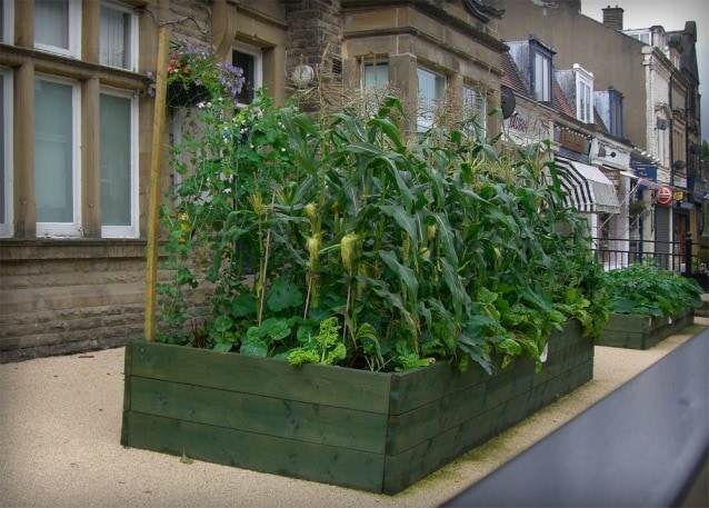 Photo courtesy Incredible Edible Todmorden
