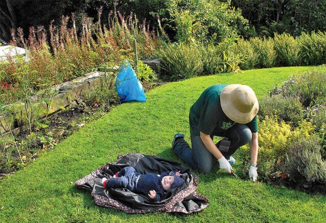 Photo courtesy Incredible Edible Todmorden