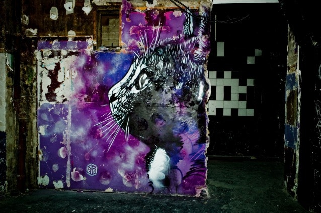 215– Space Invader – courtesy Magda Danysz Gallery, photo Stéphane Bisseuil