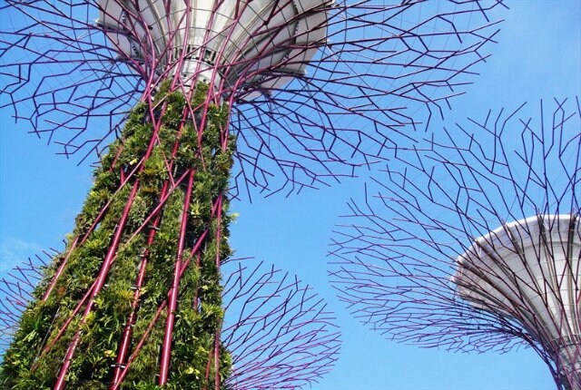 Gardens by the Bay_01