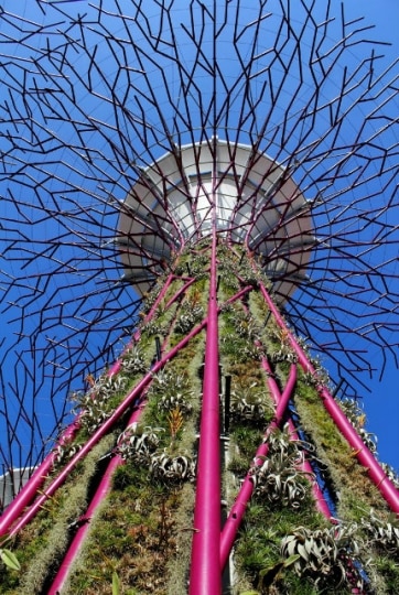 Gardens by the Bay_02