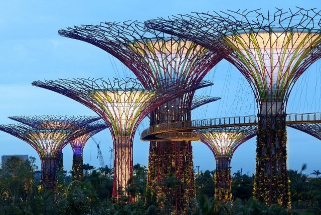 Gardens by the Bay_03