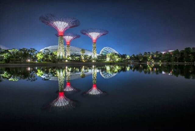 Gardens by the Bay_04