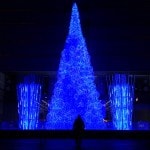 Grande albero fluo