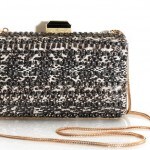 Lanvin clutch gioiello con catena