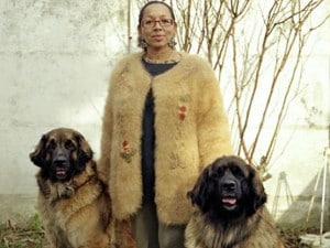 maglioni con peli di cane