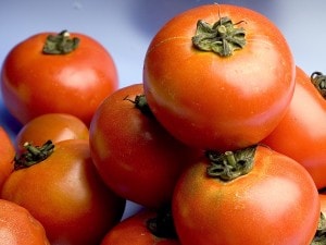 Abbronzatura, arriva la pillola al pomodoro che protegge anche la pelle