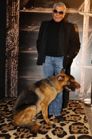 roberto-cavalli