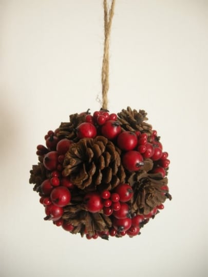 pallina con i mirtilli