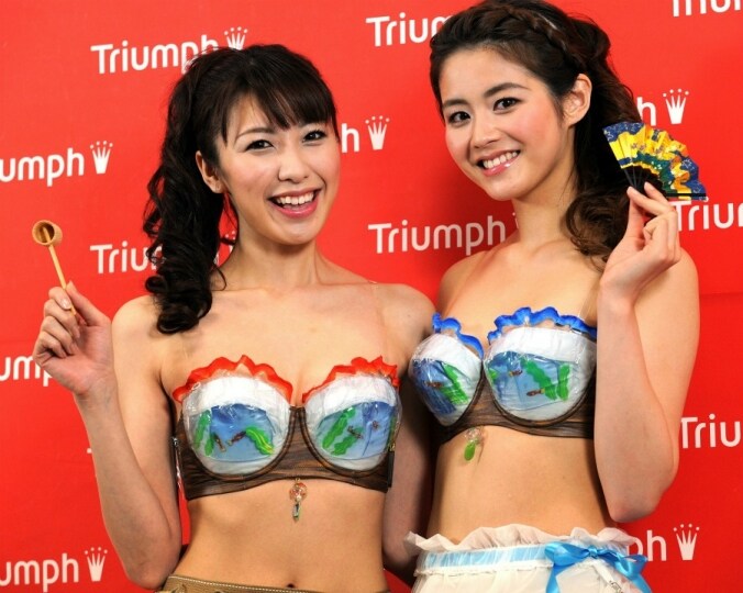 Il nuovo concept Triumph per il Giappone