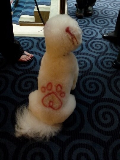 tatuaggi-da-cane