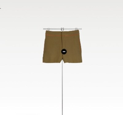 zara-short-marron-estate