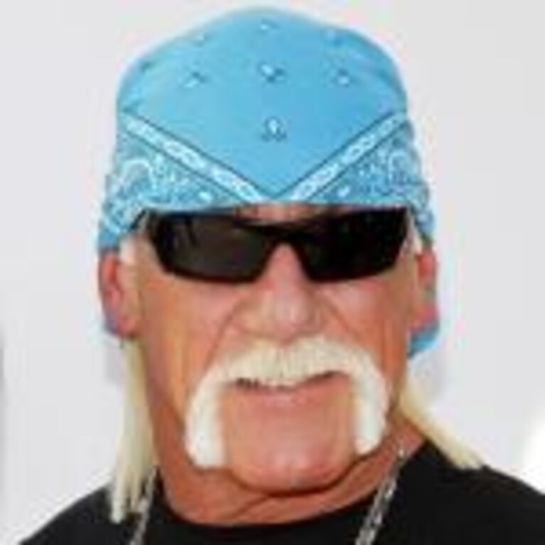 hulk hogan