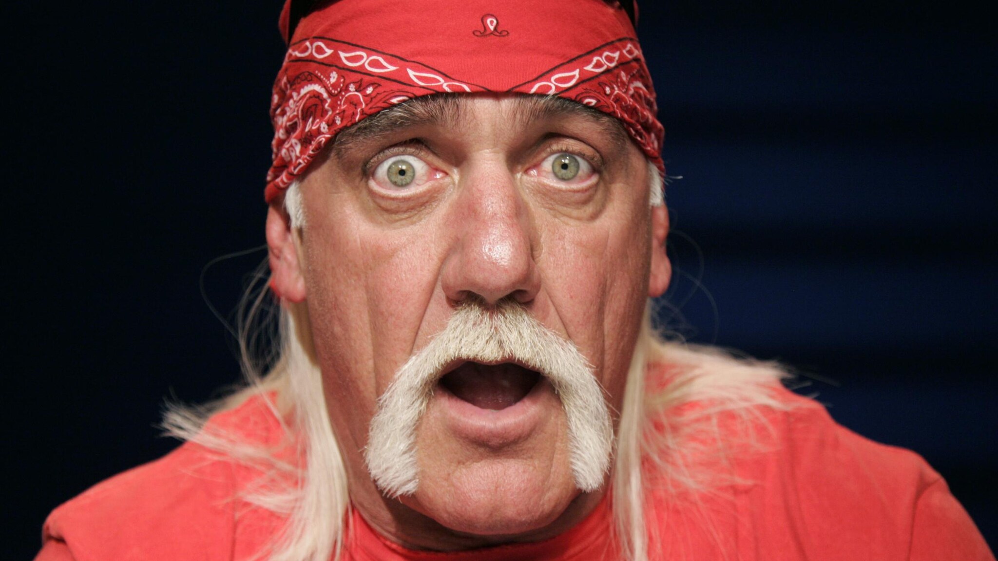 Non deve essere stato troppo felice il campione di wrestling Hulk Hogan di aver visto comparire in rete in sex tape di cui è protagonista