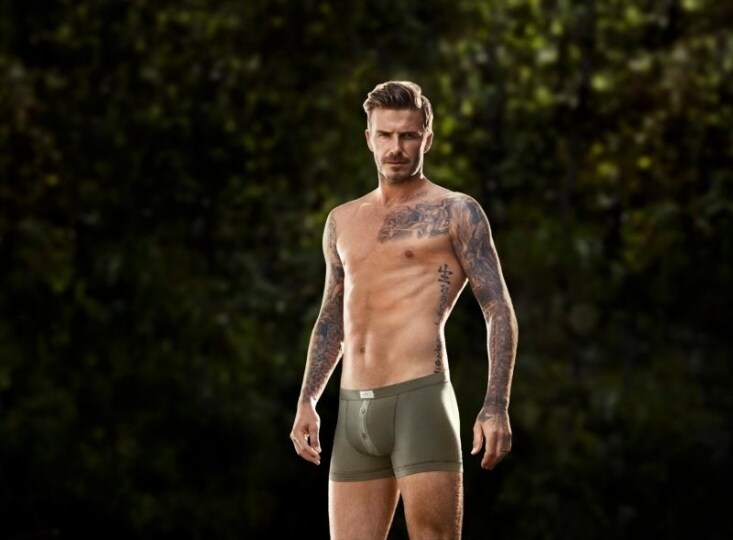 Boxer-verdi-per-Beckham