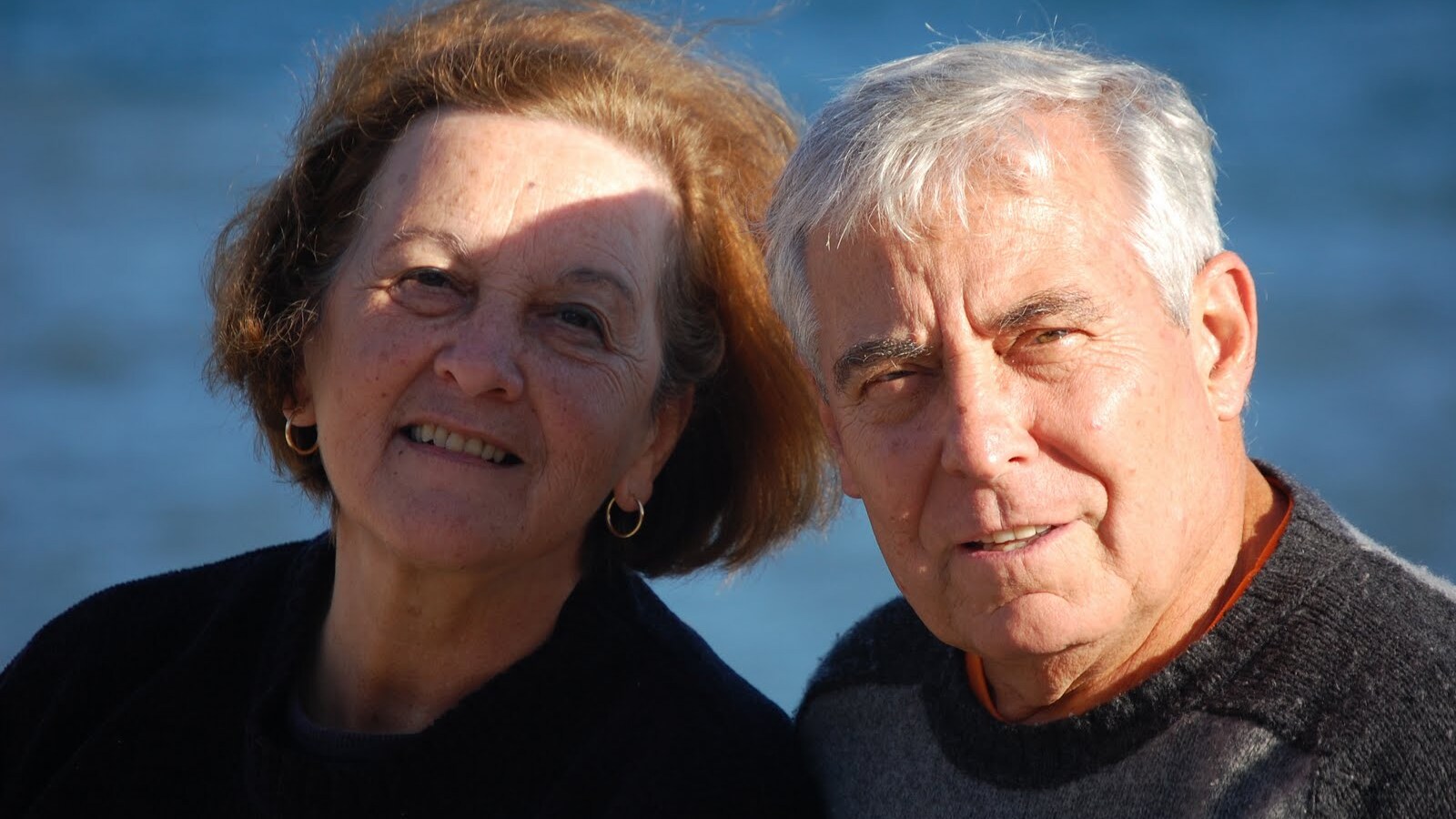 casalinga pensione inps