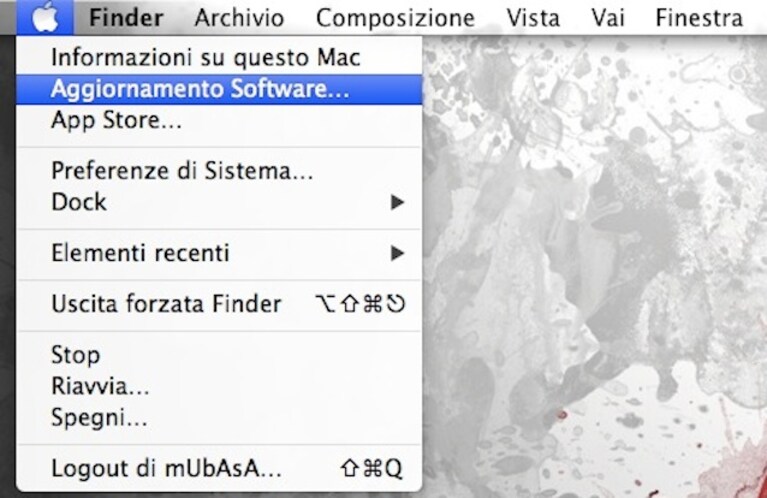 Immagine