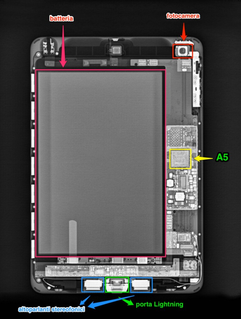 ipad-mini-xray-x-ray-radiografia-1