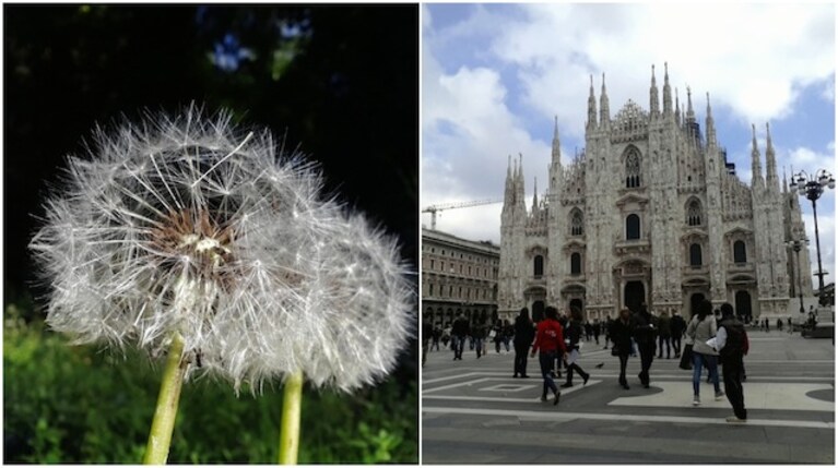 Immagine