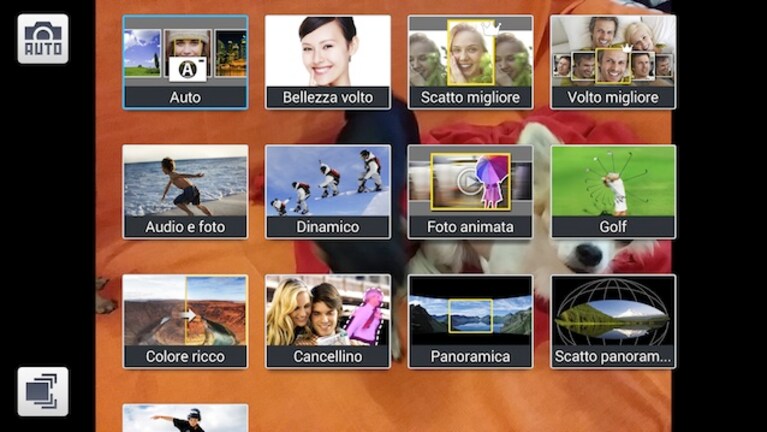 Immagine