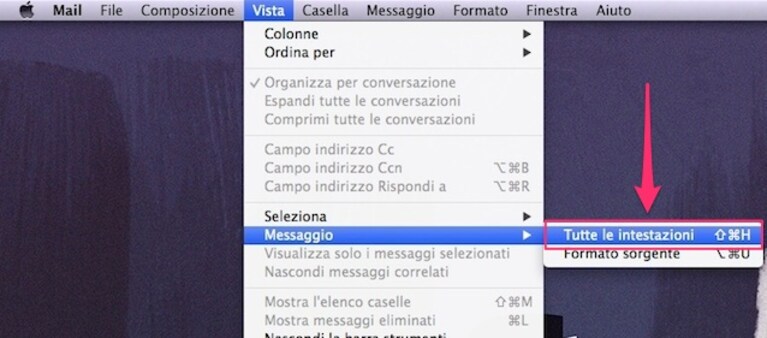 Immagine