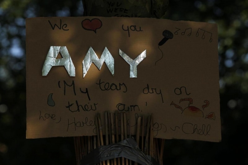 We Love You Amy