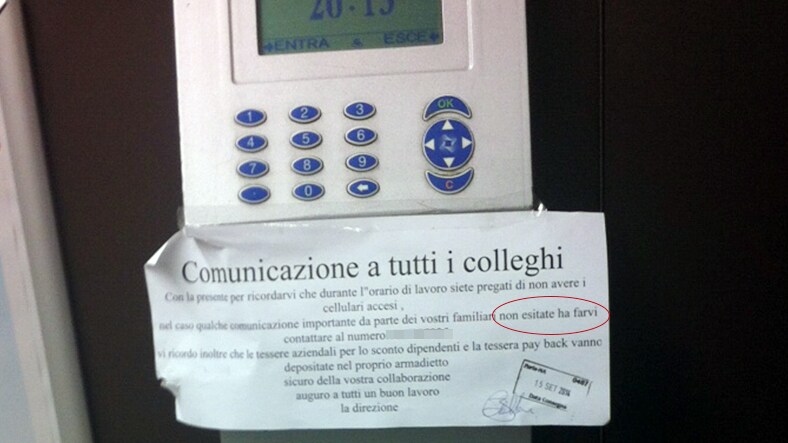 Immagine