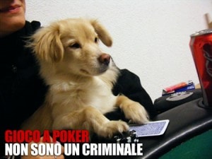 poker_live_blitz