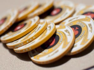 EPT Chips