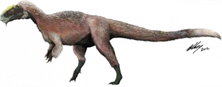 Yutyrannus Huali