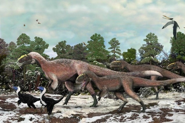 Provengono dalla Cina i resti del più grande tra gli animali piumati mai esistiti lungo almeno nove metri per un peso di oltre una tonnellata, cugino del celeberrimo e temutissimo Tirannosauro Rex. Recentemente scoperto, descritto dalla rivista scientifica Nature.