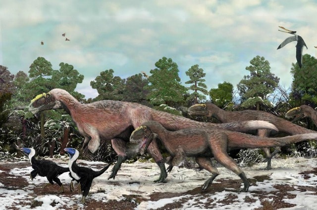 Provengono dalla Cina i resti del più grande tra gli animali piumati mai esistiti lungo almeno nove metri per un peso di oltre una tonnellata, cugino del celeberrimo e temutissimo Tirannosauro Rex. Recentemente scoperto, descritto dalla rivista scientifica Nature.