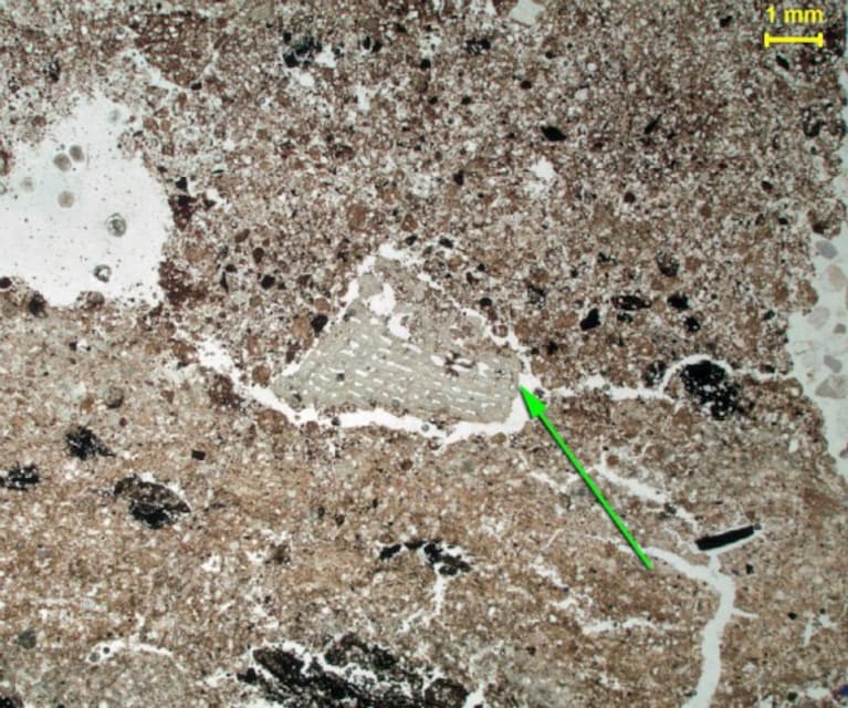 Gli esami condotti sui resti di un falò di fogliame e ramoscelli rinvenuti in una caverna in Sudafrica retrodaterebbero di circa 300 000 anni uno dei momenti cruciali della storia dell umanità la scoperta del fuoco da parte degli ominidi.