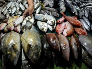 l ultimo pesce italiano per questa anno è stato mangiato