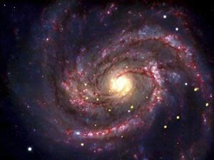 la stella divorata che rivela il buco nero