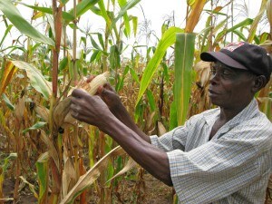 Joseph Dzindwa